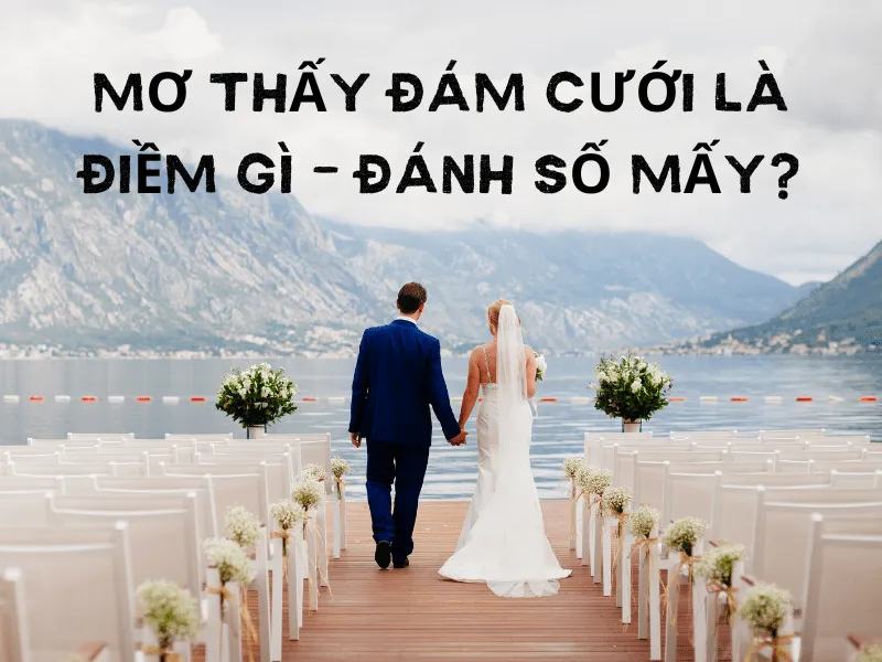 giai-ma-giac-mo-thay-dam-cuoi-1-min_11zon
